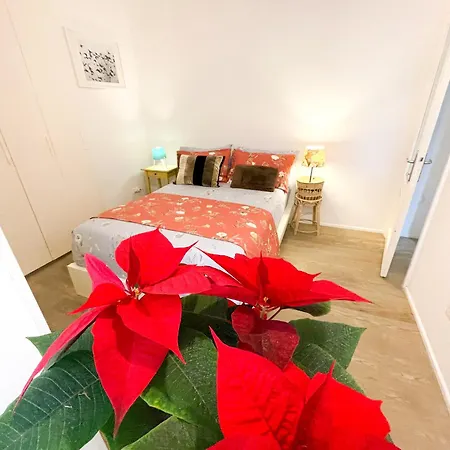 Apartamento Casetta Vaticano Roma